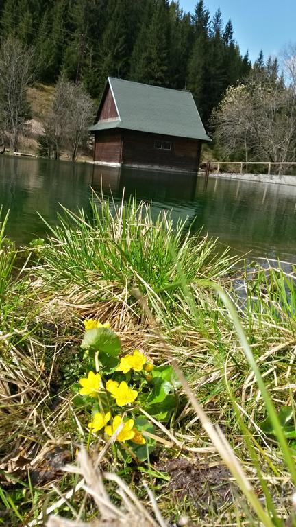 Chata Pod Certovicou Vyšná Boca Buitenkant foto